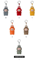 Load image into Gallery viewer, Pop Mart Labubu The Monsters Pin For Love (N-Z) Blind Box